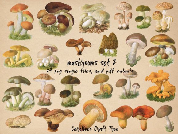 Vintage Mushrooms Cutouts Set 2: A Crafter's Guide
