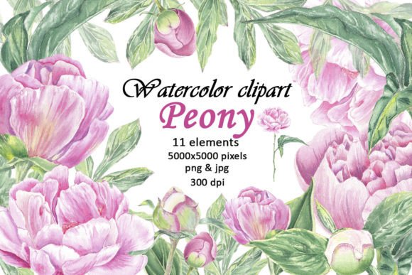 Watercolor Clipart Pink Peony Flowers: Elevating Your Creative Projects