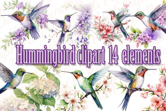 Watercolor Hummingbird Clipart: A Practical Asset for Creative Workflows